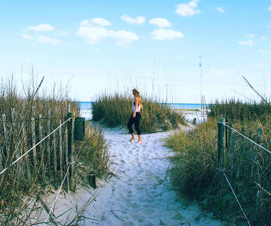 Coastal Dunes