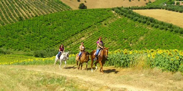 Sport dans les alentours