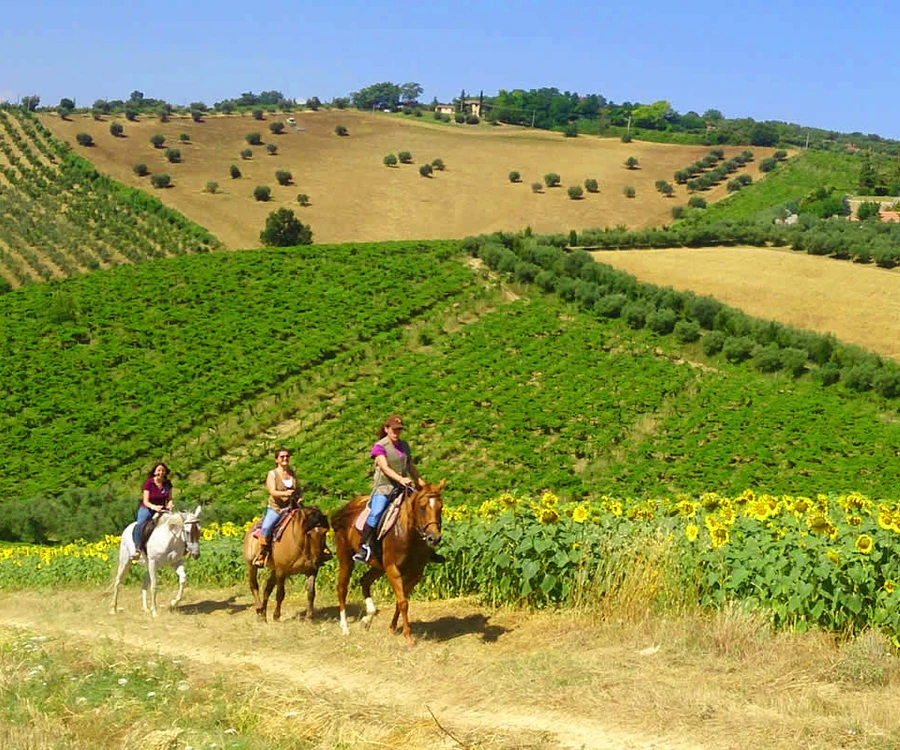 Sport dans les alentours