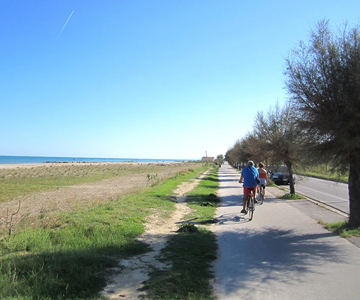 Der Rad- und Fussweg