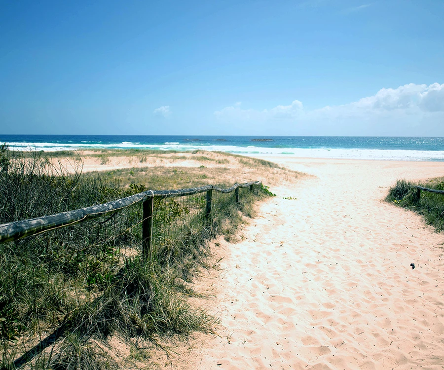 Coastal Dunes